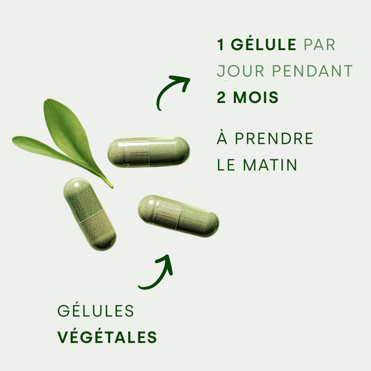 PUR-FLORE – Digestion & Équilibre