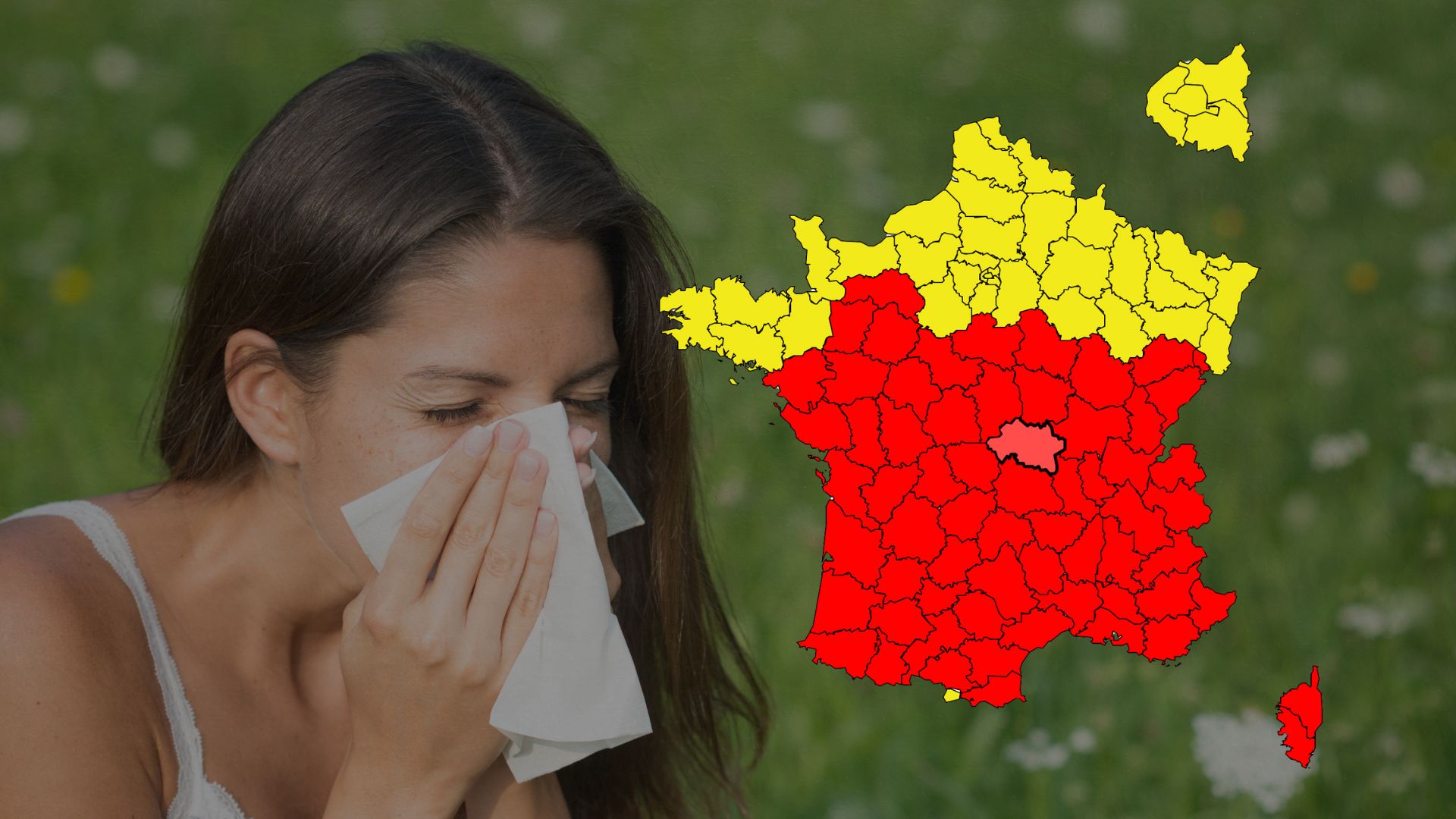 alerte pollens