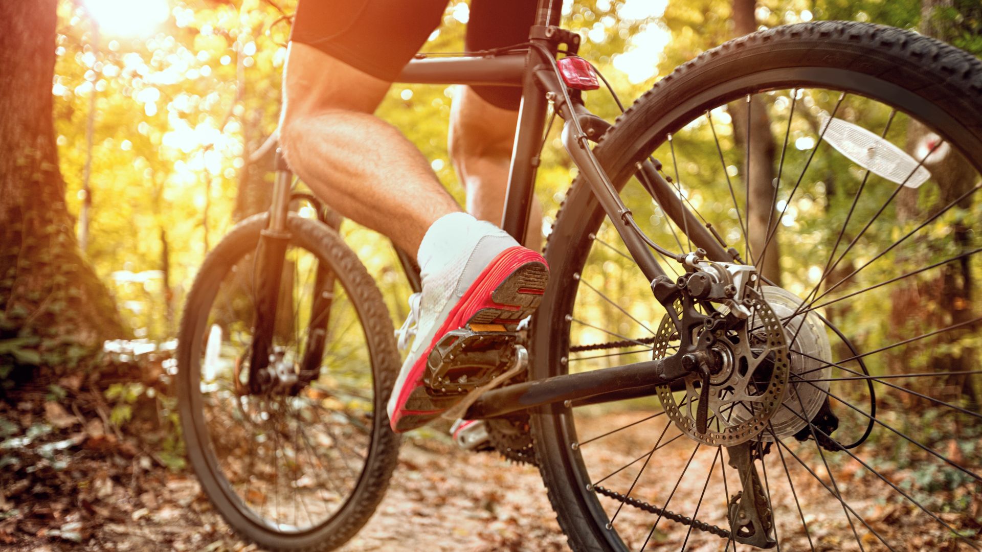 Velo et musculation best sale