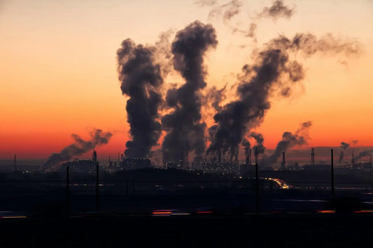 Un environnement pollué
