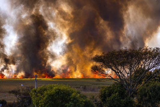 Quel masque contre les fumées d'incendie : quelle norme protège vraiment ?