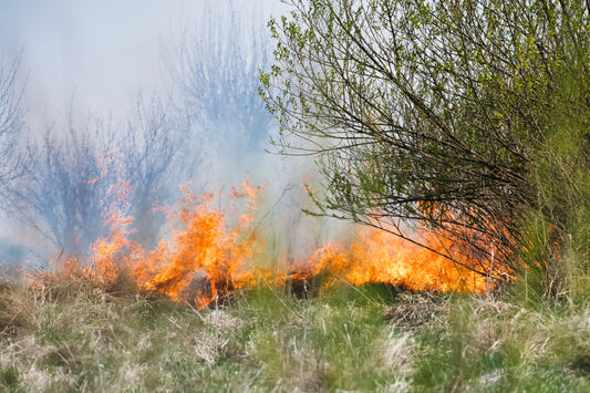 Fumées d'incendie et poumons : ce que vous respirez vraiment