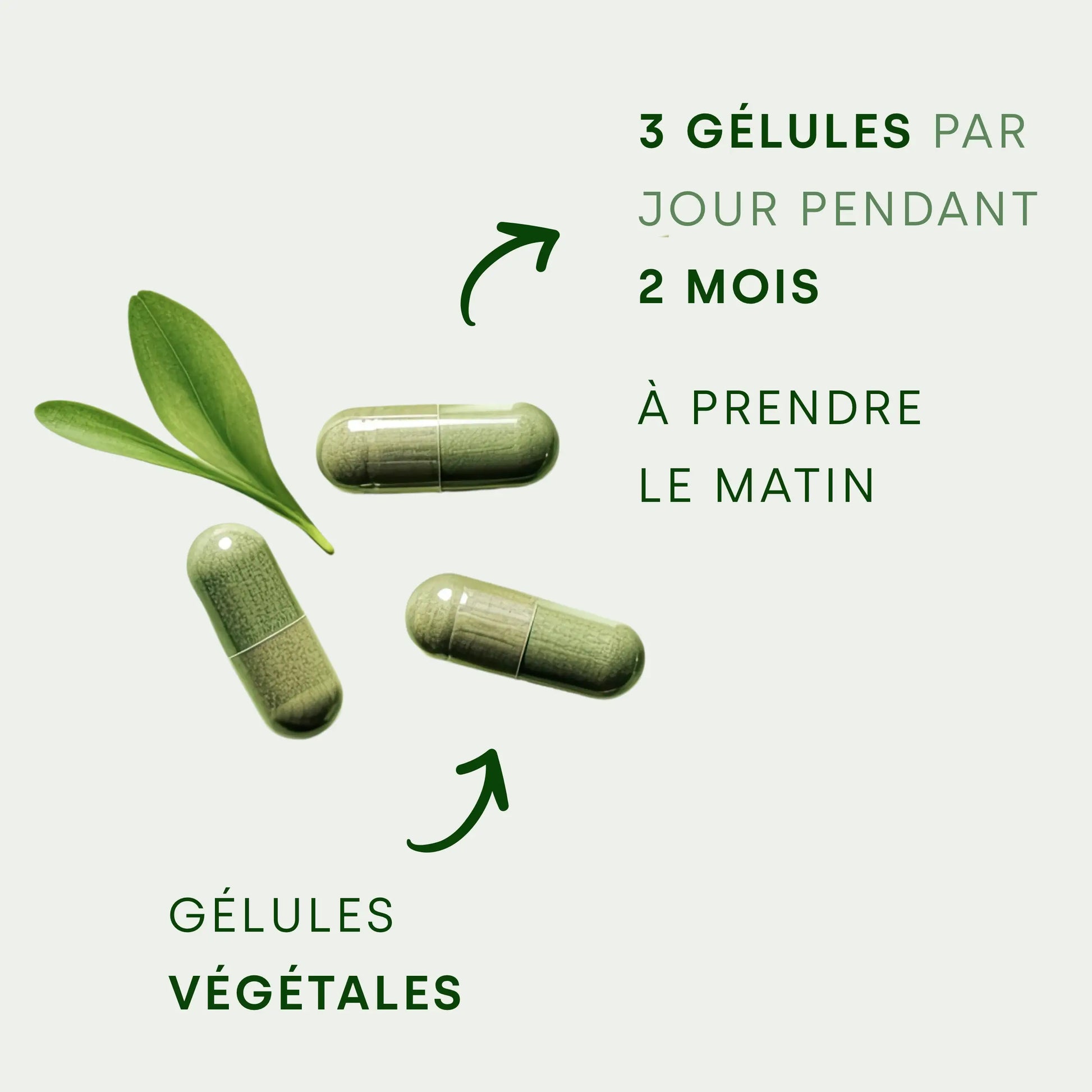 3 gélules végétales avec du texte écrit sur la composition et une feuille