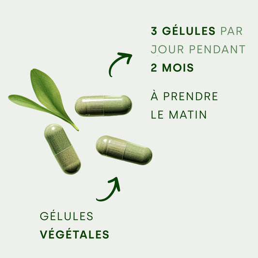 3 gélules végétales avec du texte écrit sur la composition et une feuille
